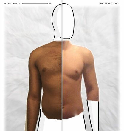 Torso Comparison