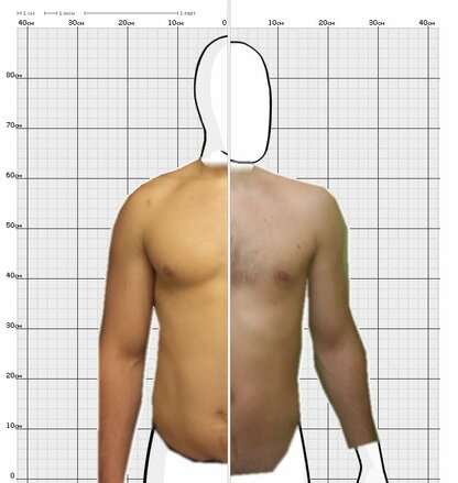 Torso Comparison