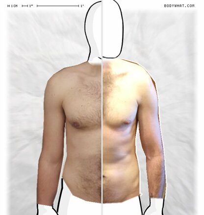 Torso Comparison