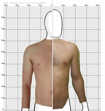 Torso Comparison