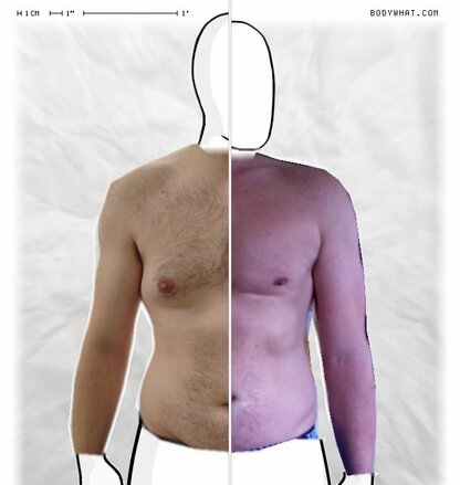 Torso Comparison