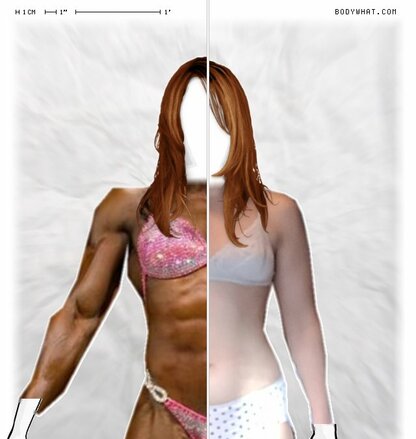 Torso Comparison