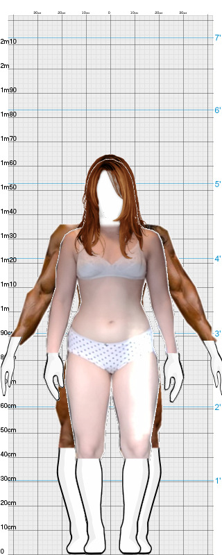 Full Size Comparison