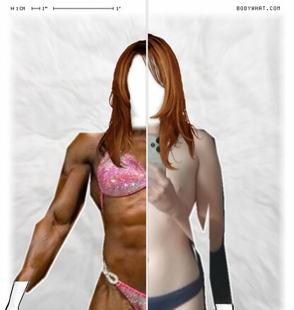 Torso Comparison