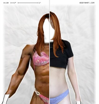 Torso Comparison