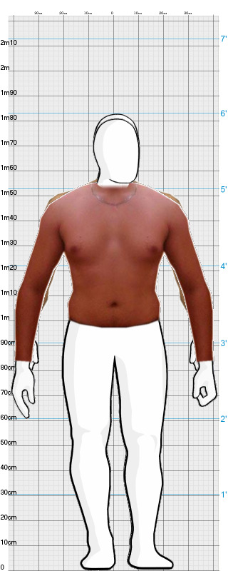 Full Size Comparison