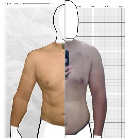 Torso Comparison