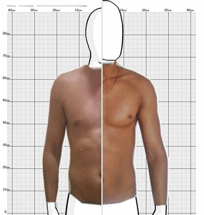 Torso Comparison