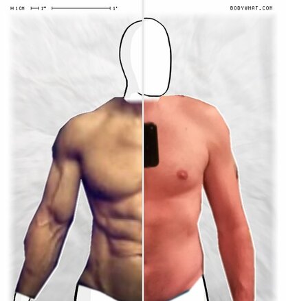 Torso Comparison
