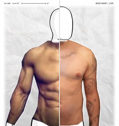 Torso Comparison