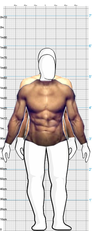 Full Size Comparison