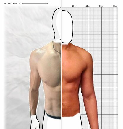 Torso Comparison