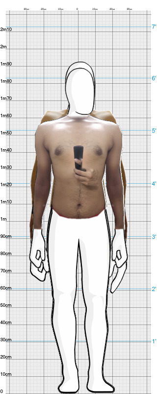 Full Size Comparison
