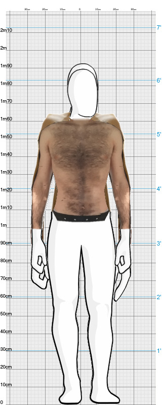 Full Size Comparison