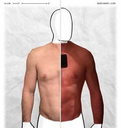 Torso Comparison