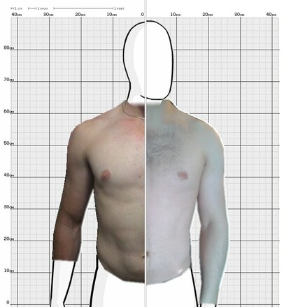 Torso Comparison