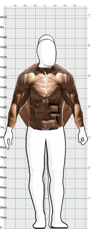 Full Size Comparison