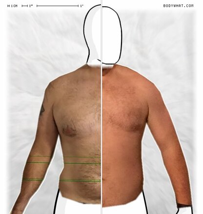 Torso Comparison