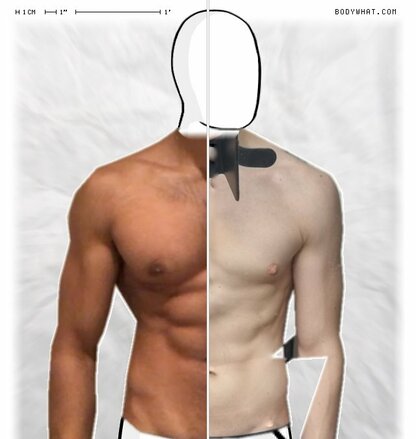 Torso Comparison