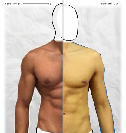 Torso Comparison