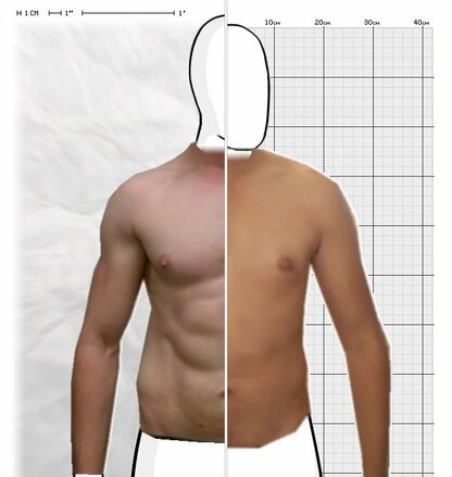 Torso Comparison