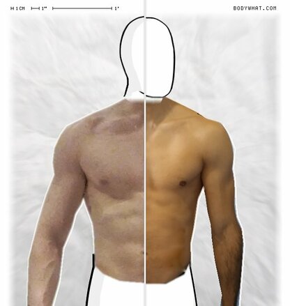 Torso Comparison