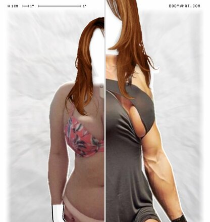 Torso Comparison
