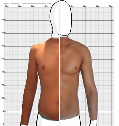 Torso Comparison