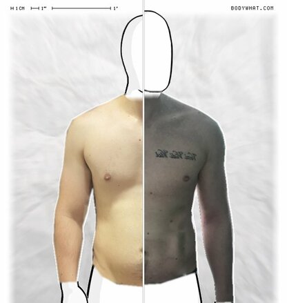 Torso Comparison