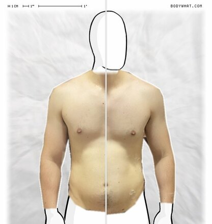 Torso Comparison