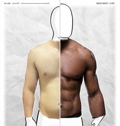 Torso Comparison