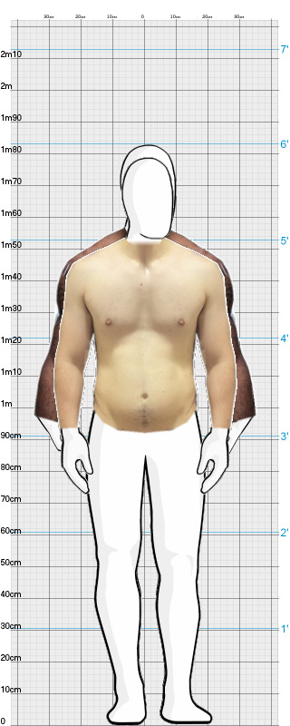 Full Size Comparison