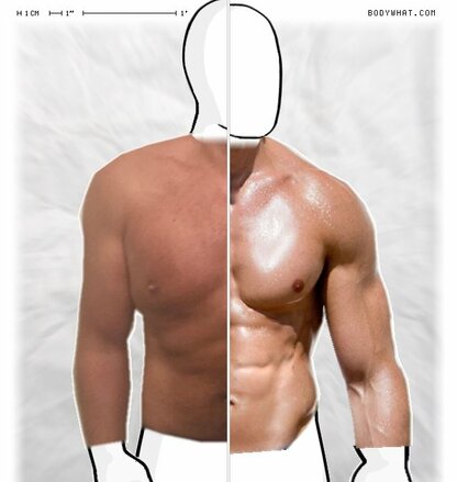 Torso Comparison