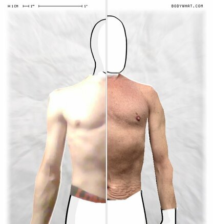 Torso Comparison