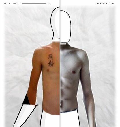 Torso Comparison