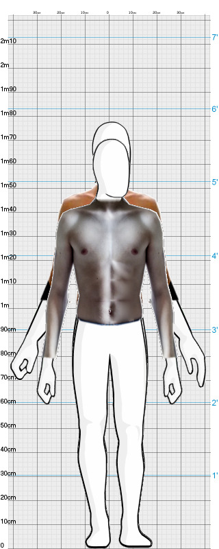 Full Size Comparison