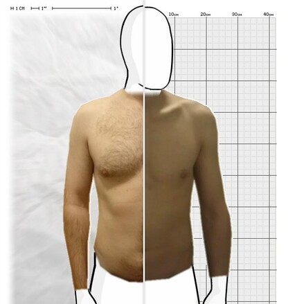 Torso Comparison