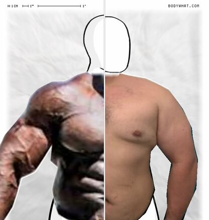 Torso Comparison