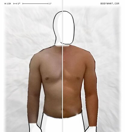 Torso Comparison