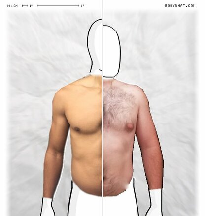 Torso Comparison