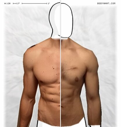 Torso Comparison