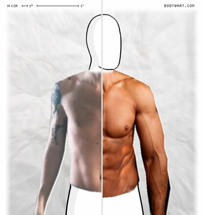 Torso Comparison