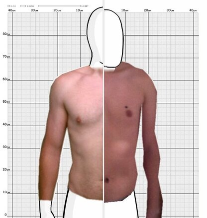 Torso Comparison
