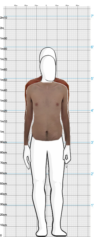 Full Size Comparison