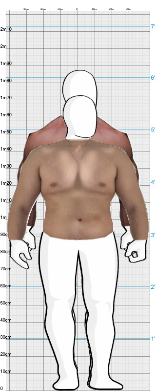 Full Size Comparison