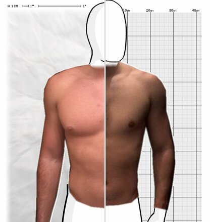 Torso Comparison