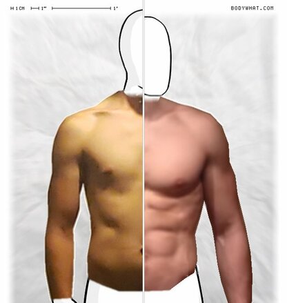Torso Comparison