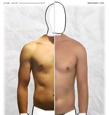 Torso Comparison