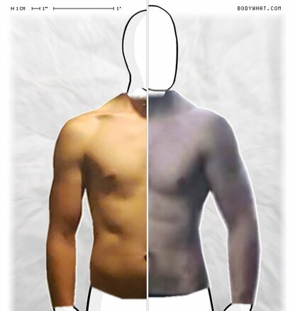 Torso Comparison