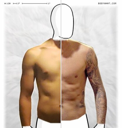 Torso Comparison